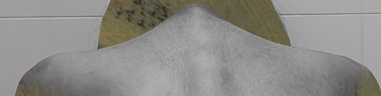 *