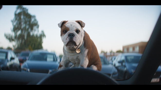 Seb Bailey Entering the chillscape with Churchill’s indomitable mascot | # ...