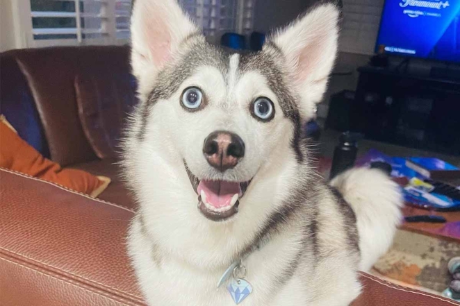 *