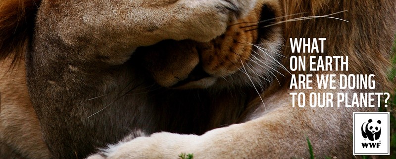 Grey Group and the WWF raise endangered animal awareness using Snapchat