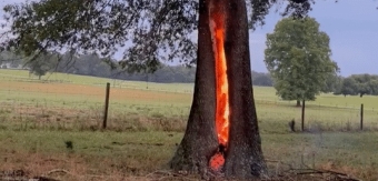 *
