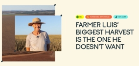 *