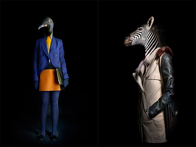 fashionbly-dressed-animals-2.jpg