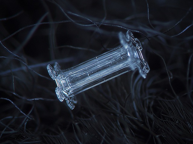 Macro Snowflakes