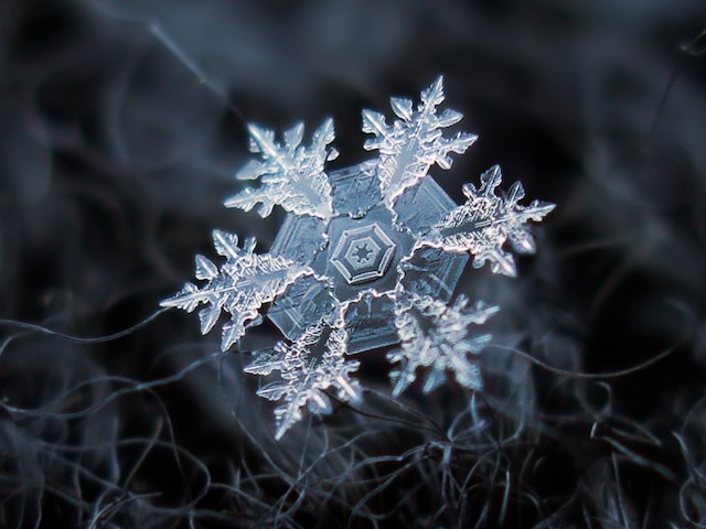 Macro Snowflakes